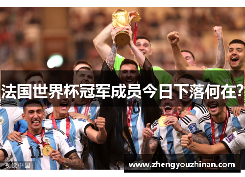 法国世界杯冠军成员今日下落何在？